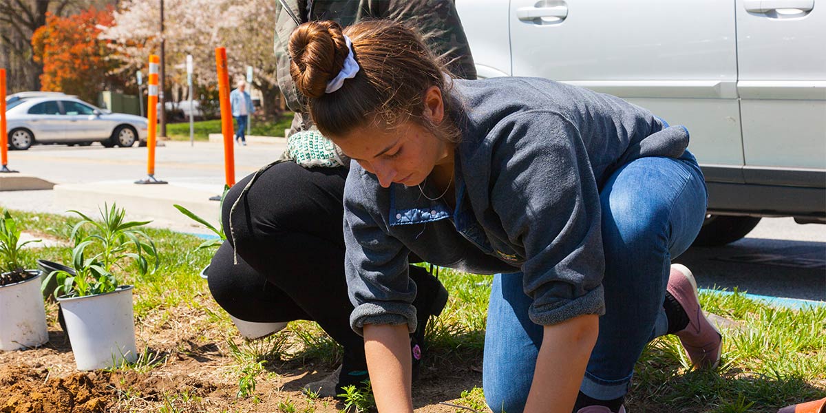 Female ambassador planting native plants